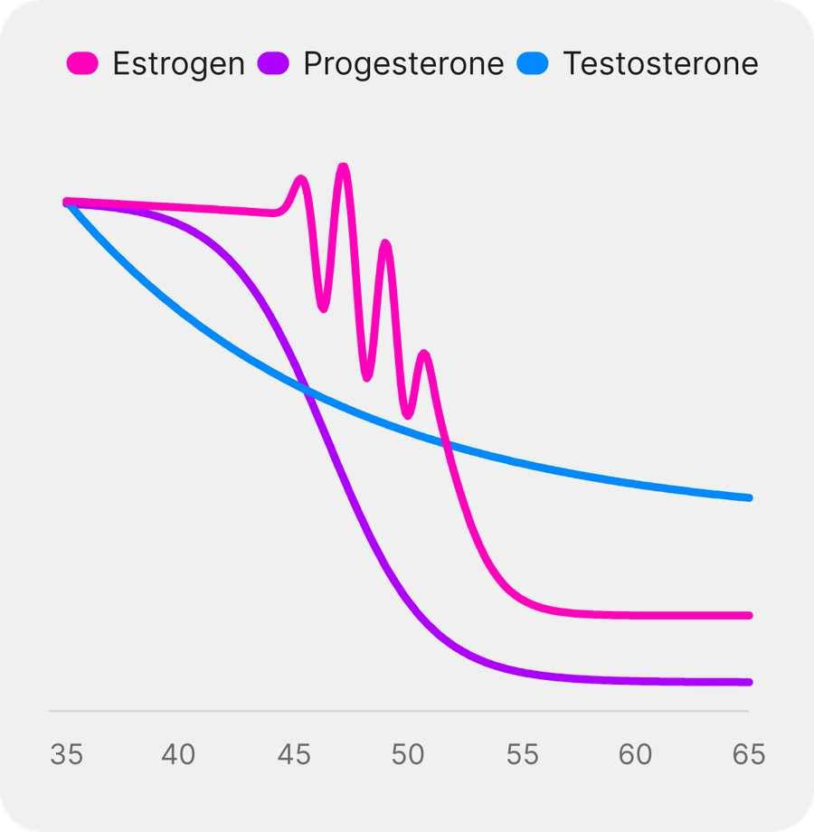 Estrogen, progesterone and testosterone from age 35 to 65. Testosterone falls gradually throughout. Progesterone drops away from the early forties. Estrogen swings hard through the late forties before settling low.